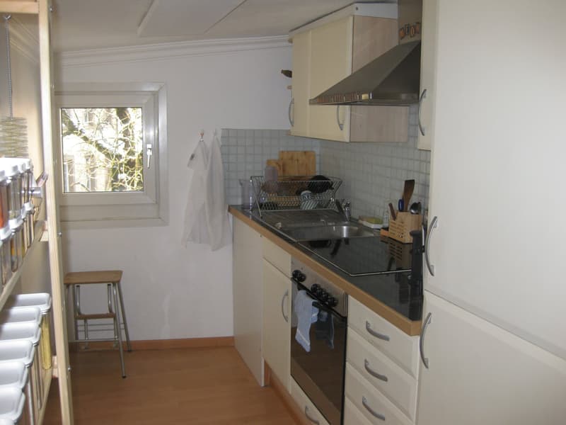 Charmantes 1-Zimmer-Apartment in der Altstadt von St. Gallen (3)