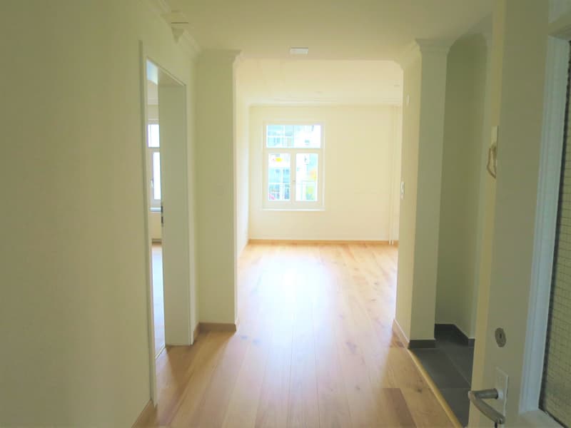 Charmante 4-Zimmer-Altbauwohnung an ruhiger Lage in St. Gallen (2)