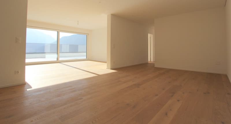 empty room, balcony, white walls, wood floor, large windows, light