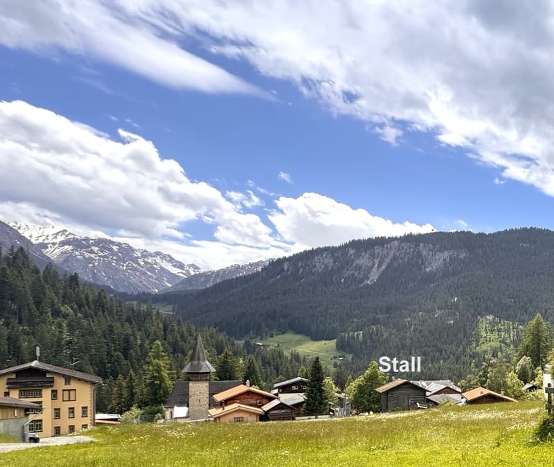 Terreno edificabile idilliaco in un paesaggio montano pittoresco (prima abitazione) (3)