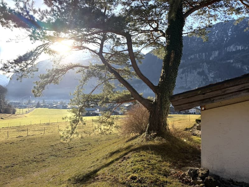 Domaine discret avec vue impressionnante sur les montagnes (11)