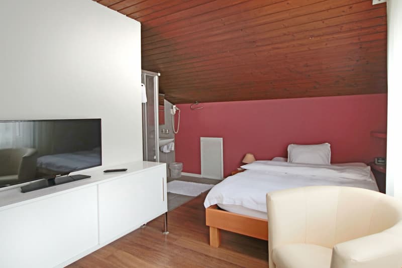 Serviced Apartment 2.5 Zimmer mit Küche / Wifi / Reinigung per 2. Juni (1)