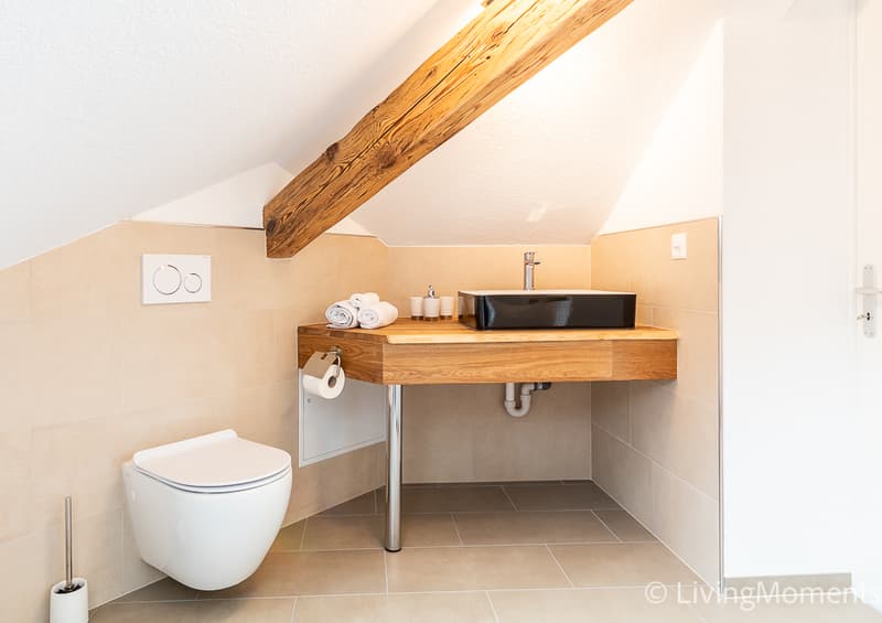 FL_APP9_Bad-Toilet.jpg