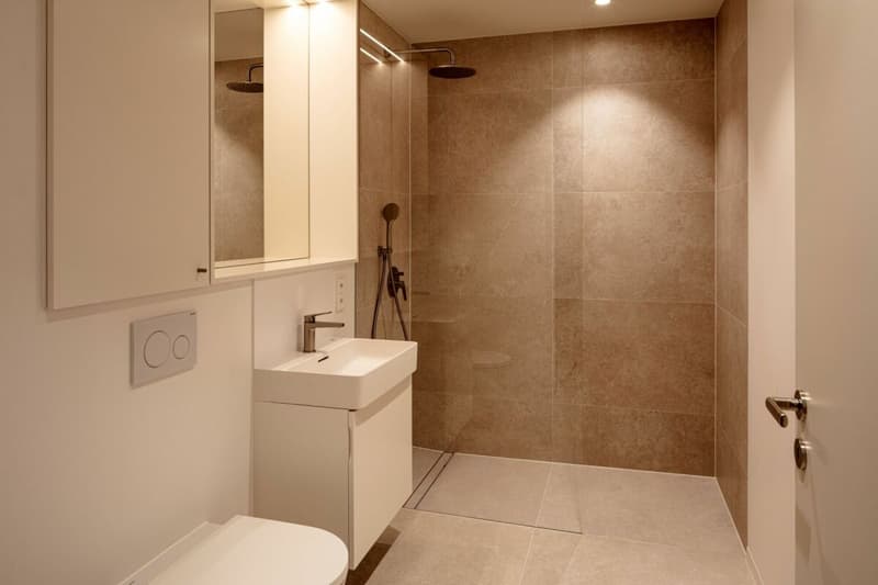 Maisonette-Gartenwohnung mit Pool in Riehen --- Duplex garden flat with a pool in Riehen (4)