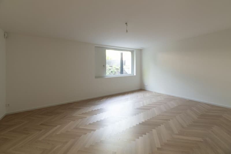 Maisonette-Gartenwohnung mit Pool in Riehen --- Duplex garden flat with a pool in Riehen (11)