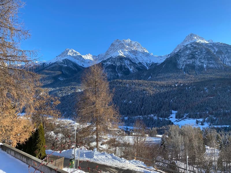snow-covered mountains, trees, clear blue sky, distant village
