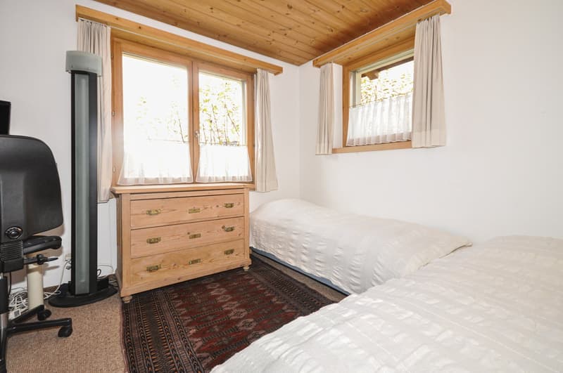 Traditional single-family house with southwest orientation (12)