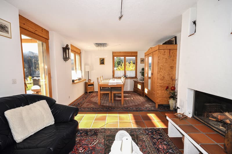 Traditional single-family house with southwest orientation (4)