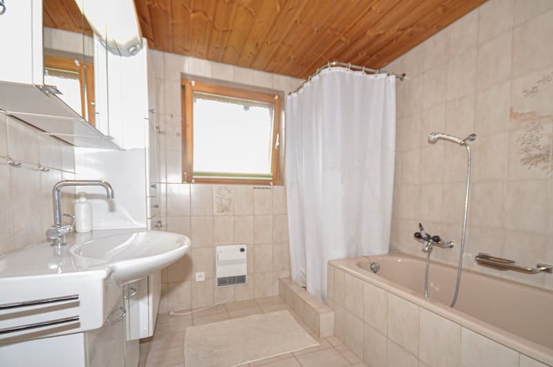 Traditional single-family house with southwest orientation (8)