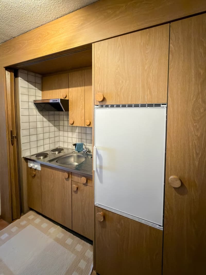 kitchen with wooden cabinets, sink, refrigerator, countertop, gas stove, extractor hood