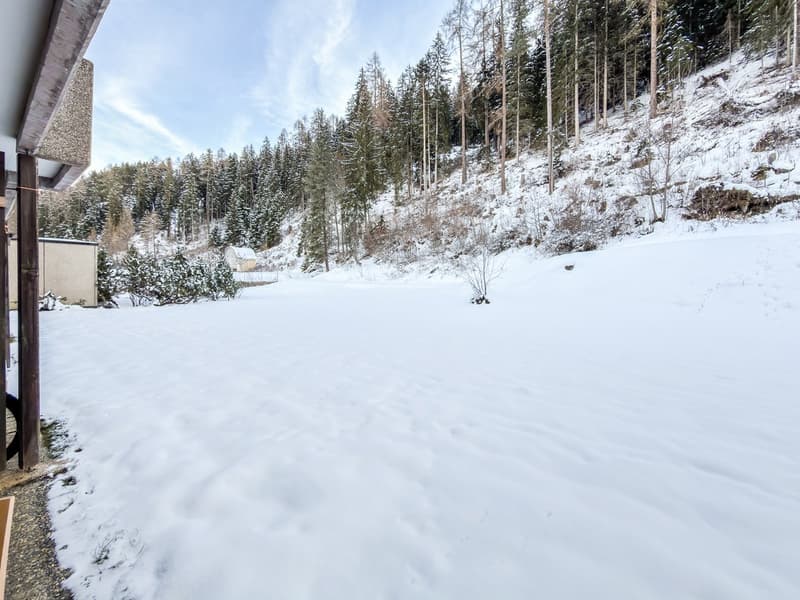 snowy landscape with pine trees, hillside, and a small house in the background