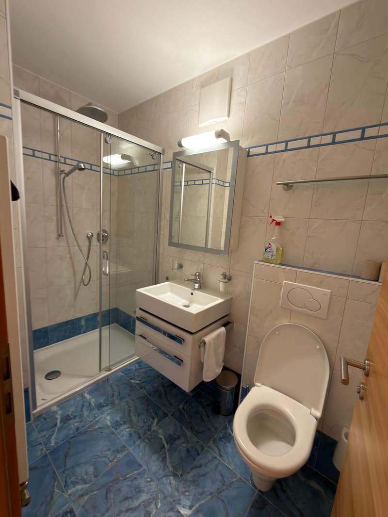Charming 4-room apartment with garage in Scuol FIRST OCCUPANCY (4)
