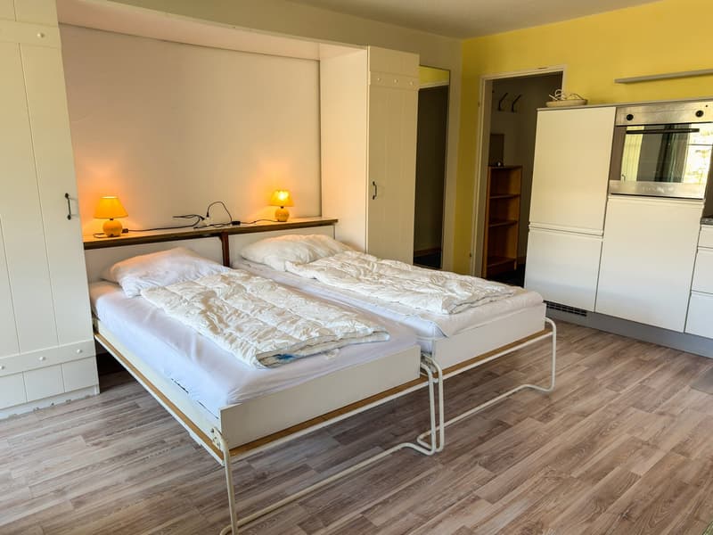 Charming 1-room apartment with mountain panorama in Vulpera (4)