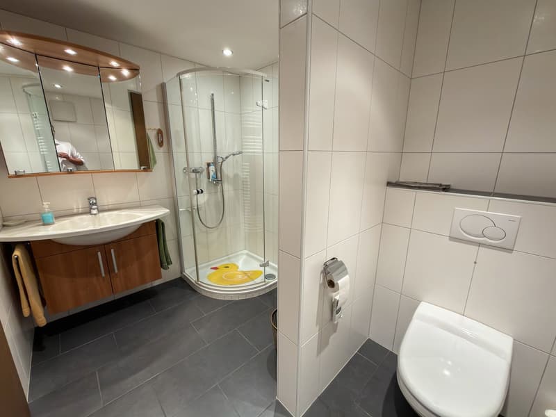 Charmante 2-Zimmer-Wohnung mit Bergpanorama in Scuol (10)