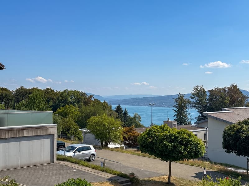 Frisch renovierte 3.5 Zimmer-Wohnung an ruhiger Lage, mit Aussicht, im steuergünstigen Feusisberg (1)