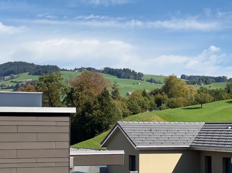 Blick in die Ferne und ins Grüne