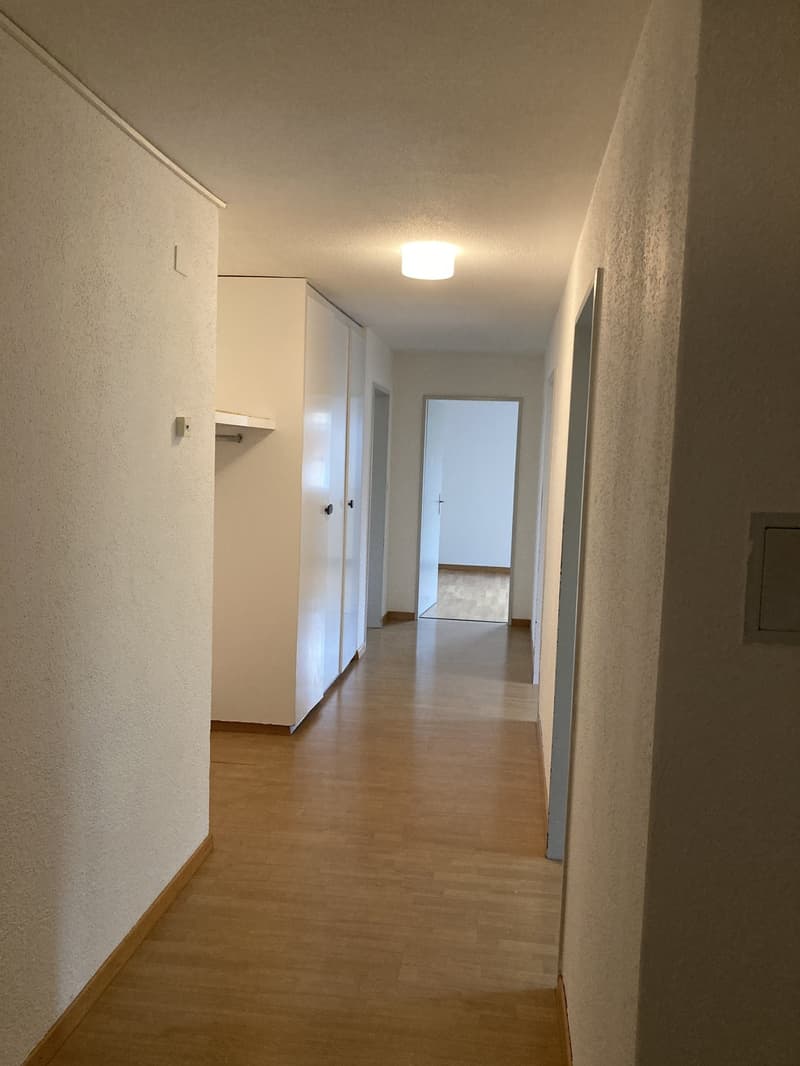 Top renovierte 3.5 Zimmer-Wohnung mit Fernsicht (2)