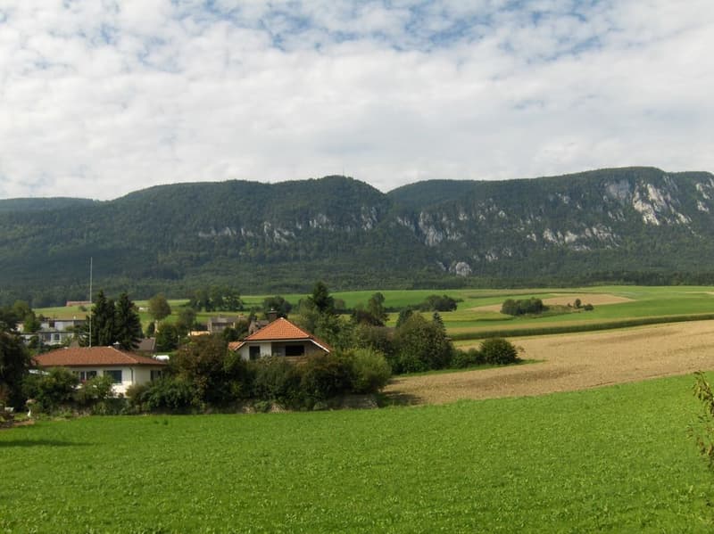 Vista sulle Alpi (2)