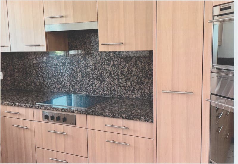 5.5 Room Owner-Occupied Apartment (6)