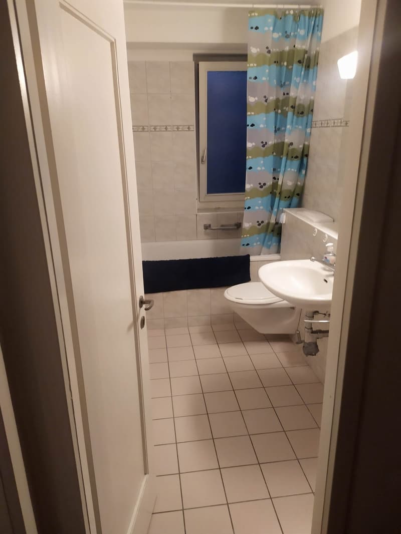 Zentrales Wohnen mitten in der Stadt Zürich auf dem sonnigen Sihlberg (2)