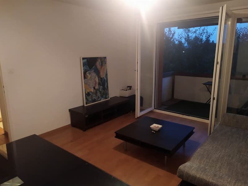Zentrales Wohnen mitten in der Stadt Zürich auf dem sonnigen Sihlberg (5)