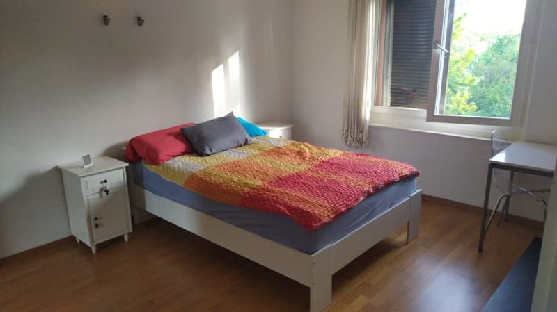 Zentrales Wohnen mitten in der Stadt Zürich auf dem sonnigen Sihlberg (4)