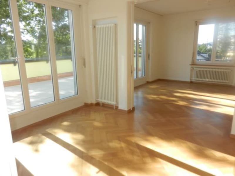 Römerhof - Traumterrasenwohnung 4 Stock 4 Zimmer (3)