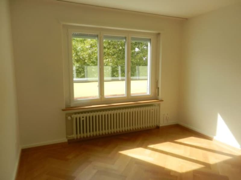 Römerhof - Traumterrasenwohnung 4 Stock 4 Zimmer (4)
