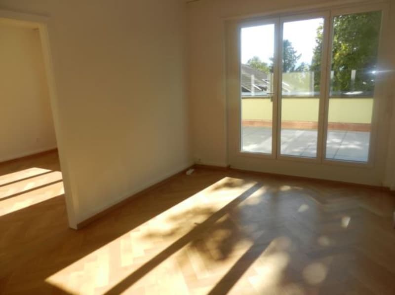 Römerhof - Traumterrassenwohnung 4 Stock, 4 Zimmer (5)