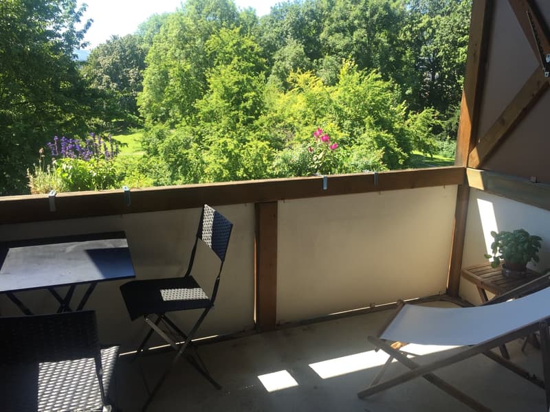 Zentrales Wohnen mitten in der Stadt Zürich auf dem sonnigen Sihlberg (2)
