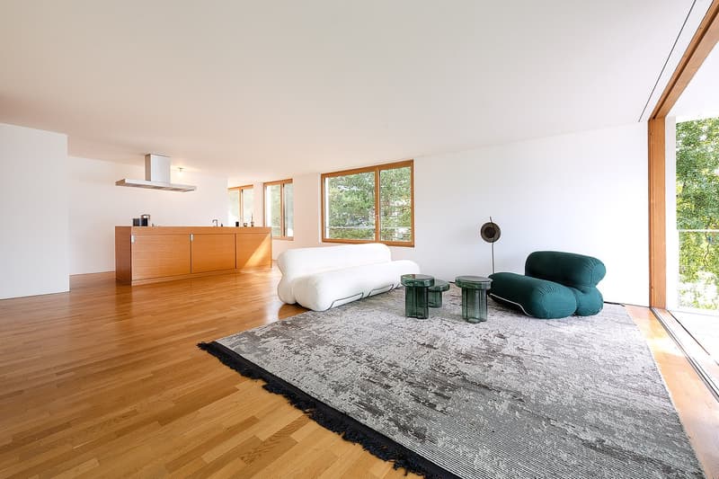 wooden floor, kitchen counter with faucet, kitchen hood, sofa, armchair, large rug, tables, sliding glass door