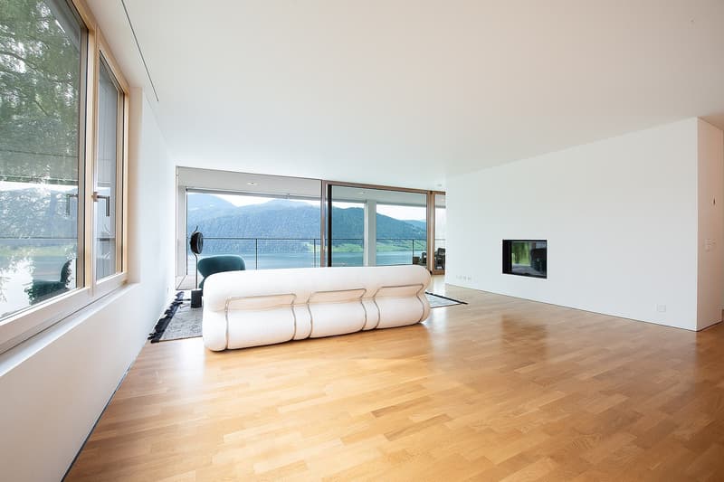 modern living room with large windows, fireplace, sofa, wooden floor, glass doors