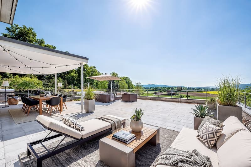 Outdoor terrace with a dining table, chairs, lounge chairs, a coffee table, a canopy, and potted plants.