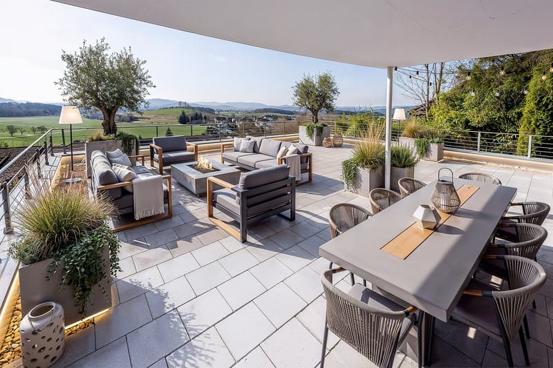Outdoor terrace with seating area, fire pit, dining table, and potted plants