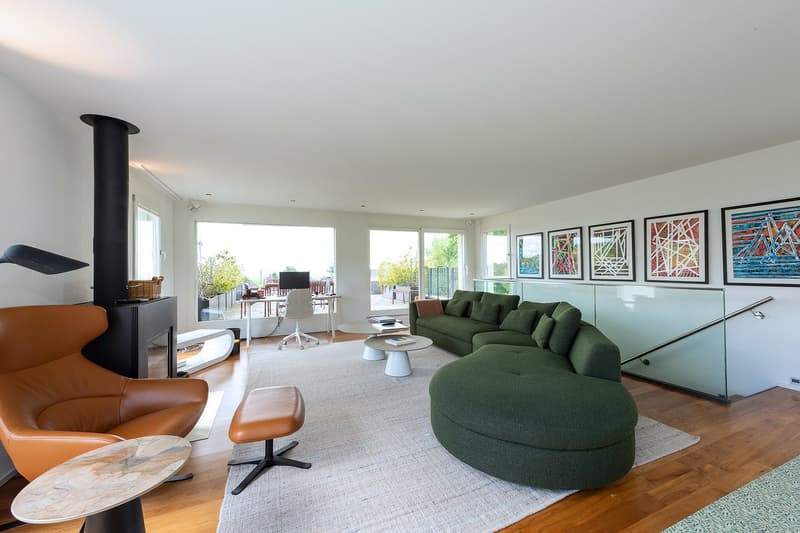 Exklusives 400 m² Designer-Haus (2)