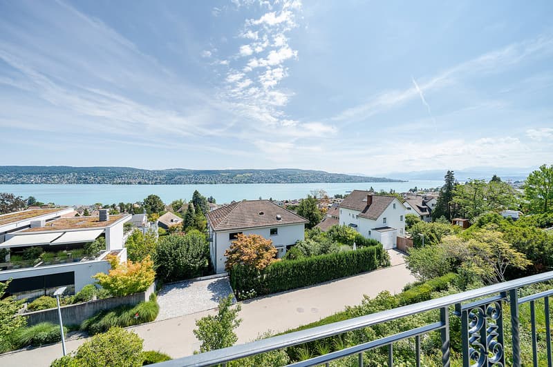 300 m² Doppeleinfamilienhaus mit traumhafter Seesicht (1)