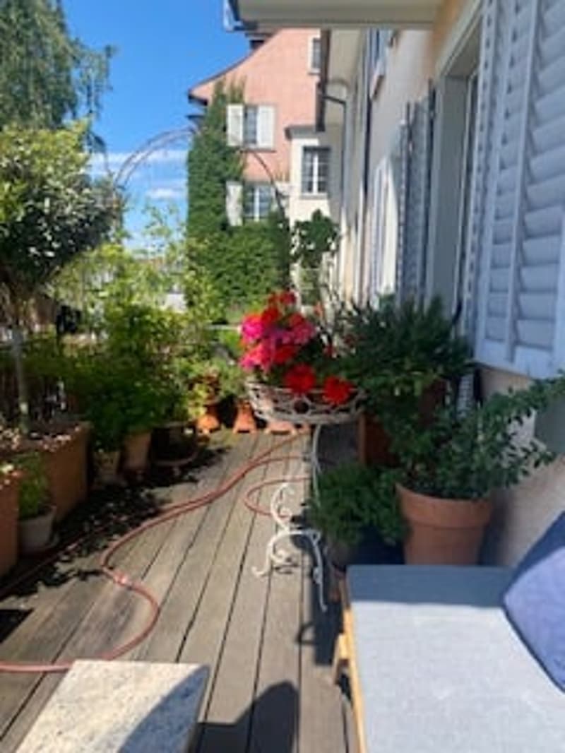 Wooden deck with many potted plants, flowers, hose, deck furniture, garden wall