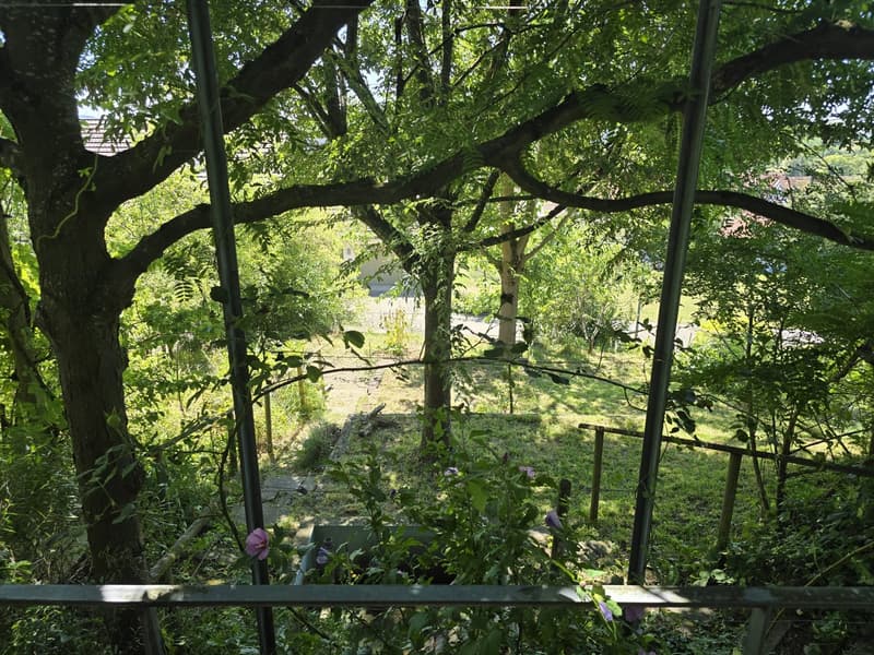 Schöner unkonventioneller Hausteil für Gartenliebhaber an bester Lage in Uesslingen (4)