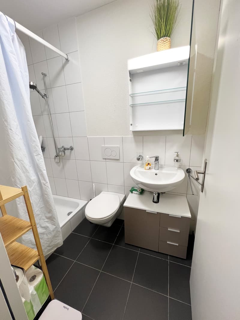 1 Zi-Wohnung an zentraler Lage in Aadorf (8)