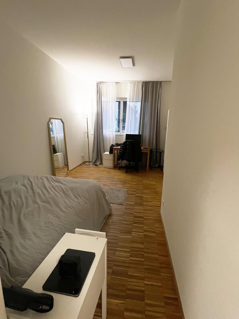 1 Zi-Wohnung an zentraler Lage in Aadorf (5)