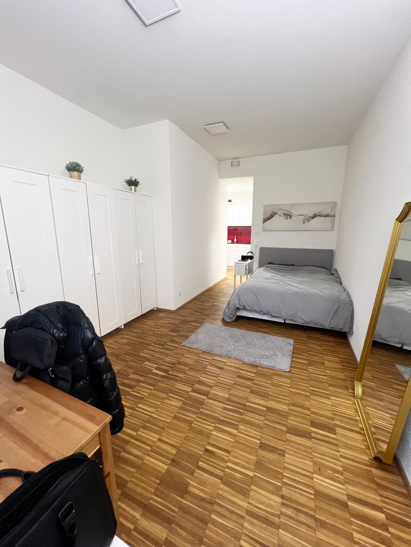 1 Zi-Wohnung an zentraler Lage in Aadorf (3)