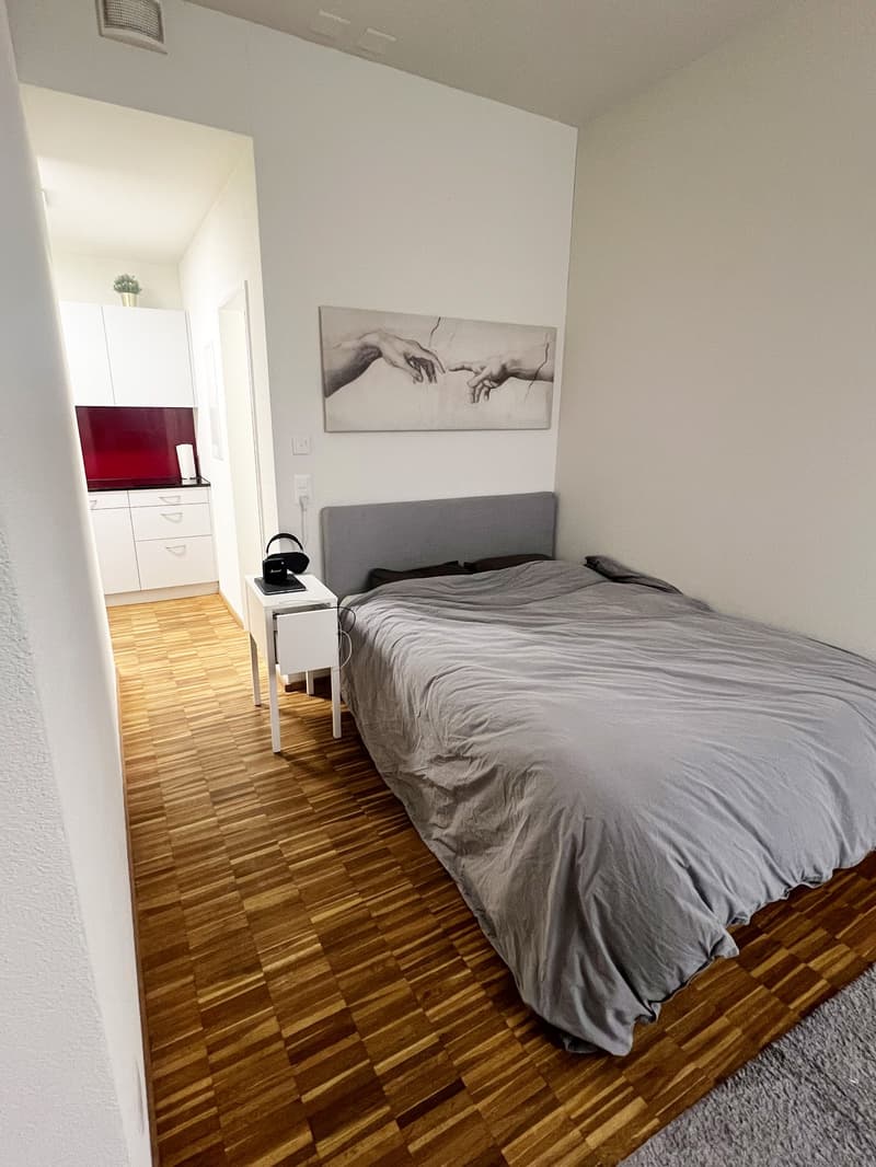 1 Zi-Wohnung an zentraler Lage in Aadorf (4)