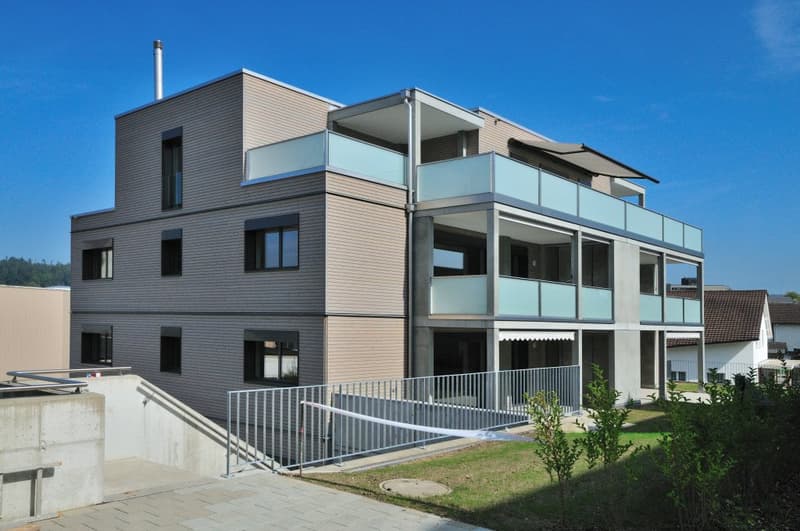 1 Zi-Wohnung an zentraler Lage in Aadorf (1)