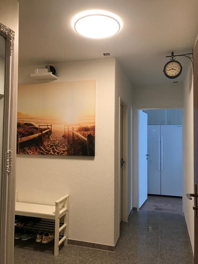 Long corridor with a shoe rack on the left side, a framed photo of a beach on the wall, and an illuminated round ceiling lamp. To the right, there is a small entrance with two doors leading to the inside of the house, and a wall-mounted clock.
