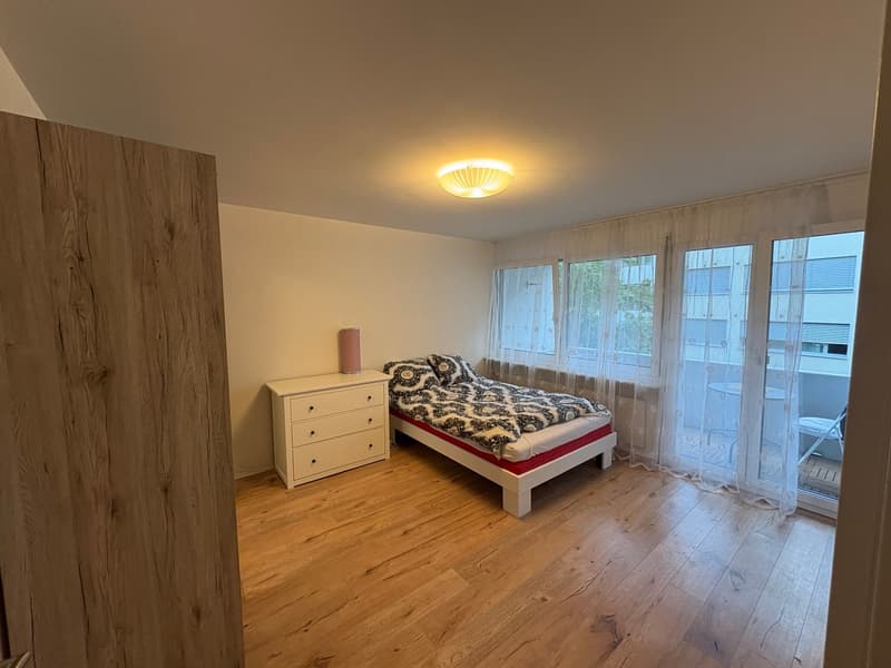 Appartement 1 pièce confortable avec balcon sur la Feldbergstrasse, Bâle (8)