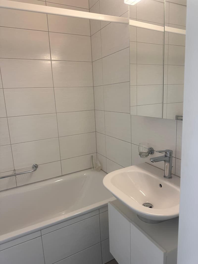 Gemütliches 1-Zimmer-Apartment mit Balkon (7)