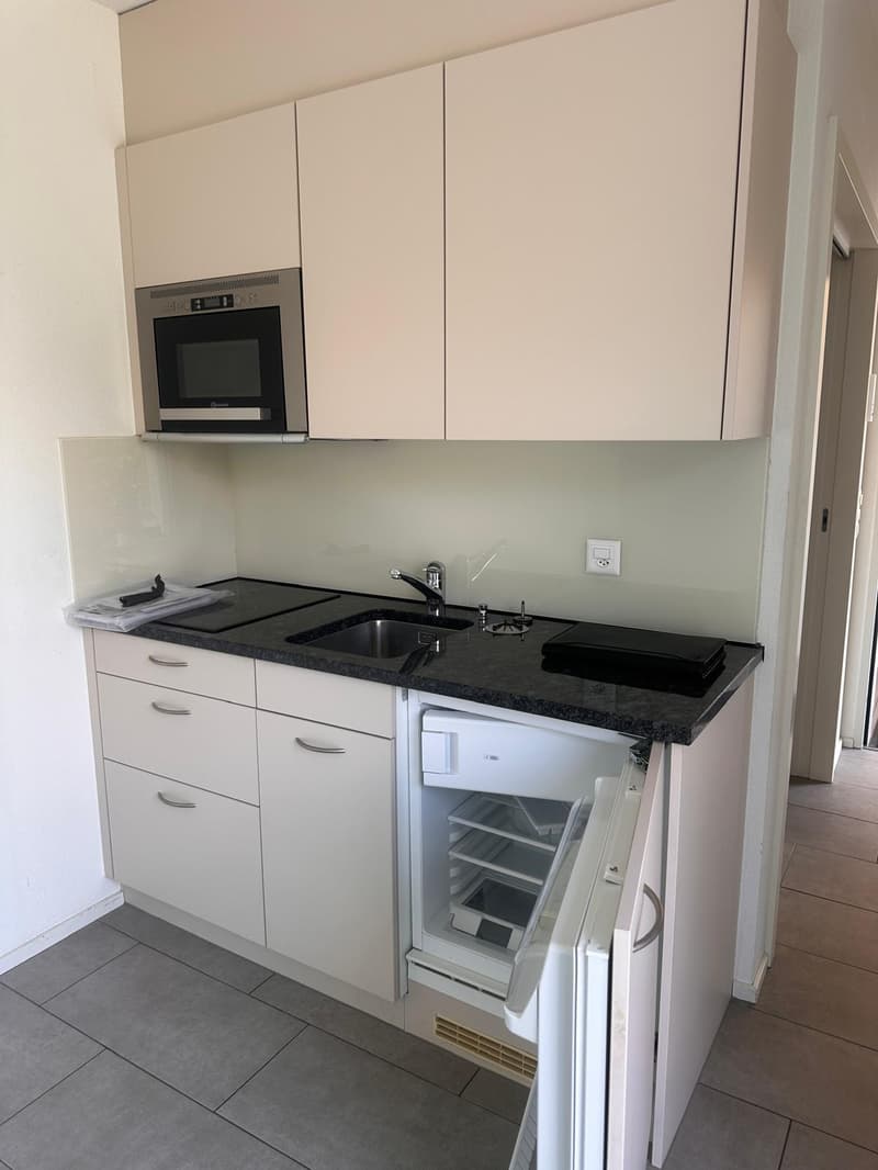 Gemütliches 1-Zimmer-Apartment mit Balkon (3)
