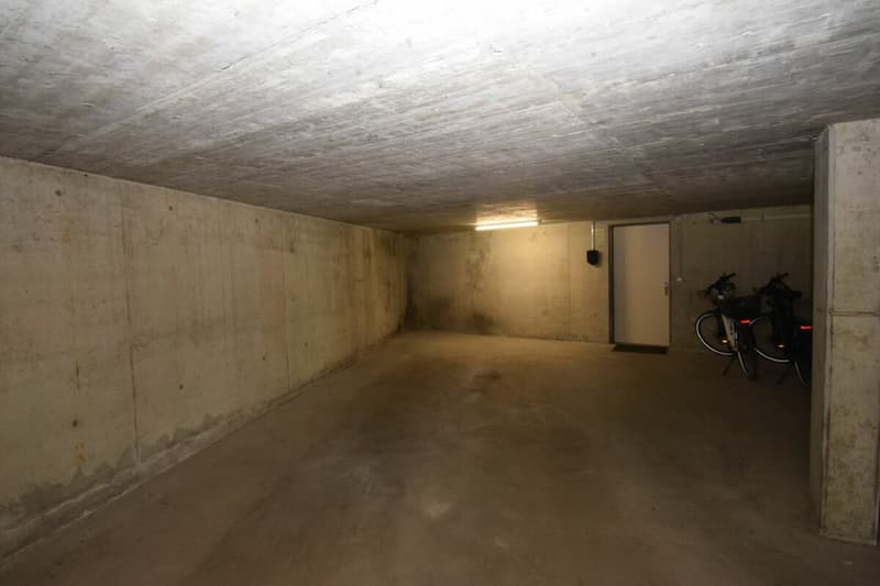 Newly Renovated 4.5 Room Maisonette Apartment on the 2nd Floor with Elevator (Owner-Occupied Standard) (9)