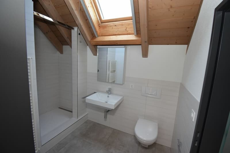 Newly Renovated 4.5 Room Maisonette Apartment on the 2nd Floor with Elevator (Owner-Occupied Standard) (5)