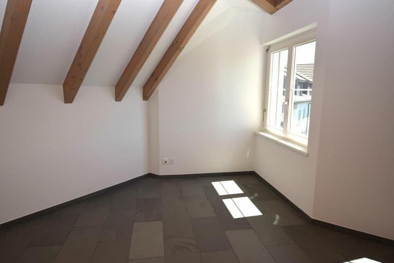 Nouvel appartement maisonnette de 4,5 pièces rénové au 2e étage avec ascenseur (norme de propriété) (9)